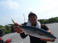 だめだこりゃあ