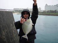狙う魚