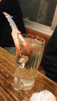 フィードマンとウミヘビ 2011/12/06 20:30:01