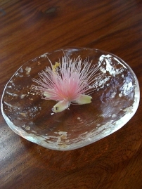 幻の花