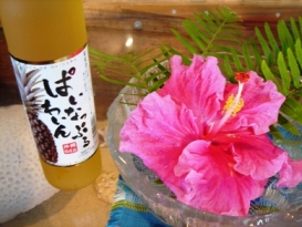 特大ハイビ