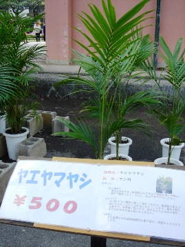 農高って凄い！
