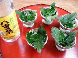 菊酒の日