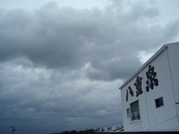 雨降り 2008/11/10 16:20:22