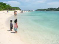 夏の思い出 2008/08/03 10:31:00