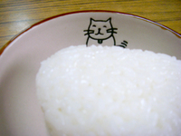 癒しの小皿 2008/09/30 11:04:24