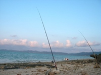 ゆる釣り 2008/09/22 22:20:00