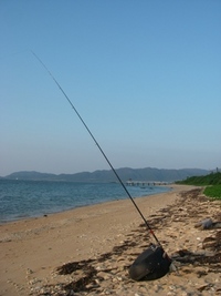 わざ 2008/12/04 18:03:12