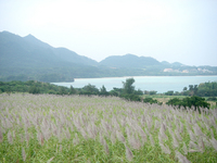 冬景色 2008/12/15 17:55:03