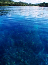 冬の海 2008/11/28 13:54:50