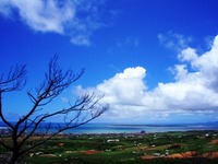 景色 2008/07/15 13:27:52