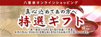 初！ 2008/10/29 13:33:00