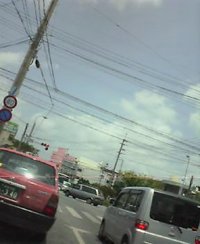 暑いね〜。 2006/05/05 12:43:20