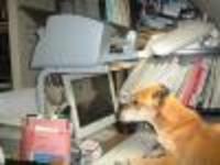 ネットショップ勉強中～
