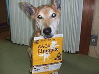 リモナイトって？？