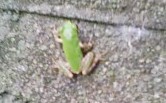 最初は小さな歩みでも～☆