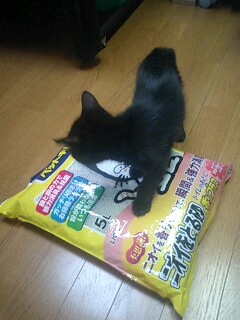 「ニオイをとる砂　香りプラス」