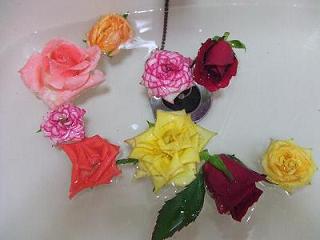 体からバラの香り～♪