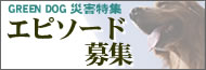 我が家のワンコの安全は？？