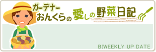 ecomom「家族と自然にやさしい暮らし」
