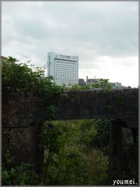 山川玉御殿