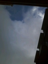 今日は… 2009/11/01 09:47:45