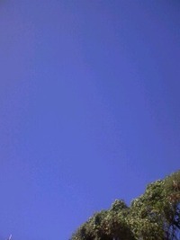 アオ！ 2009/11/06 21:01:29
