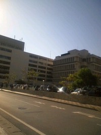 職探し 2009/12/22 10:17:14