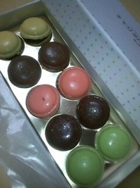 チョコ 2010/03/14 18:28:51