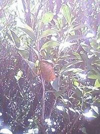 覚えてた?! 2010/07/11 12:44:40