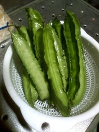 チャレンジ！ 2010/09/28 16:29:03