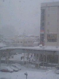今朝は… 2011/01/15 09:31:51