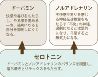 三大神経伝達物質とは？