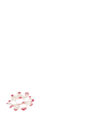 如果可以我多想这样去爱你 2016/07/26 18:12:32