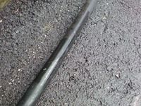 おはようございます 2010/04/29 10:42:21