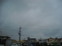 しとしとぴっちゃん、しとぴっちゃん♪ 2009/10/15 09:47:11